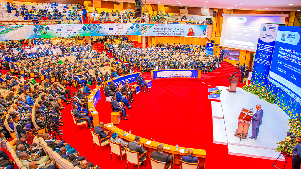 simba hall 3
